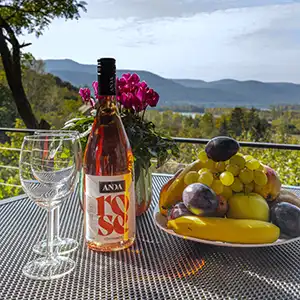 Dombház Visegrád gyümölcs